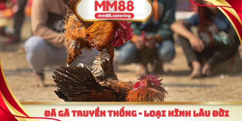 Đá gà truyền thống