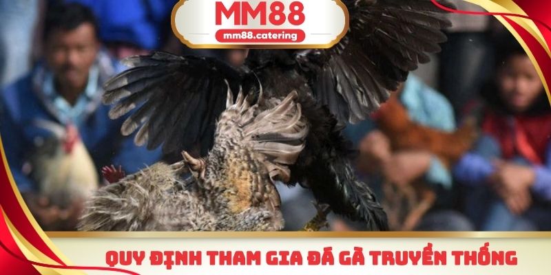 Những điểm vô cùng nổi bật mà đá gà truyền thống mang lại