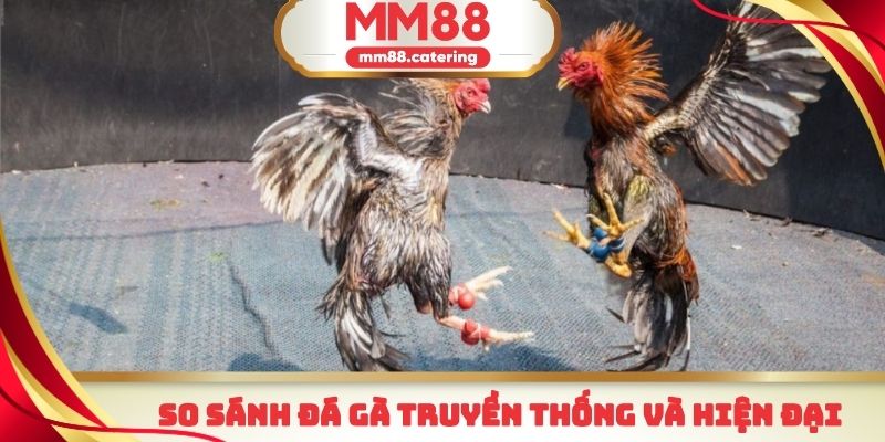 Sự khác biệt giữa đá gà truyền thống và online