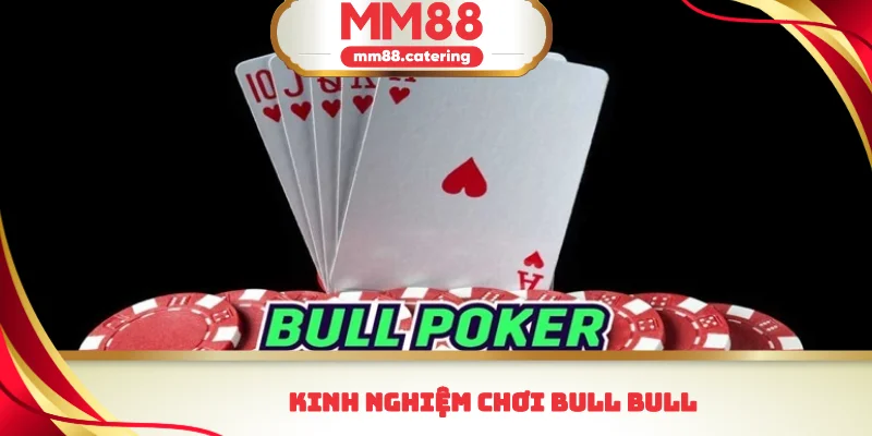 Kinh nghiệm chơi bull bull