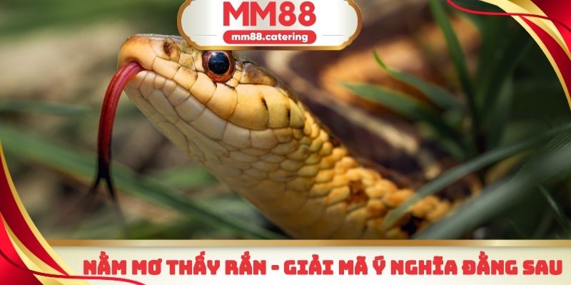 Nằm mơ thấy rắn