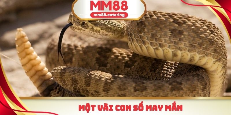 Sử dụng những con số sau đây khi nằm mơ thấy rắn