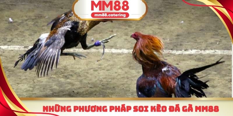 Soi kèo đá gà MM88