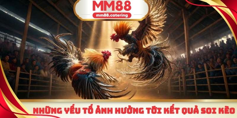 Một vài yếu tố chính ảnh hưởng tới quá trình soi kèo đá gà MM88